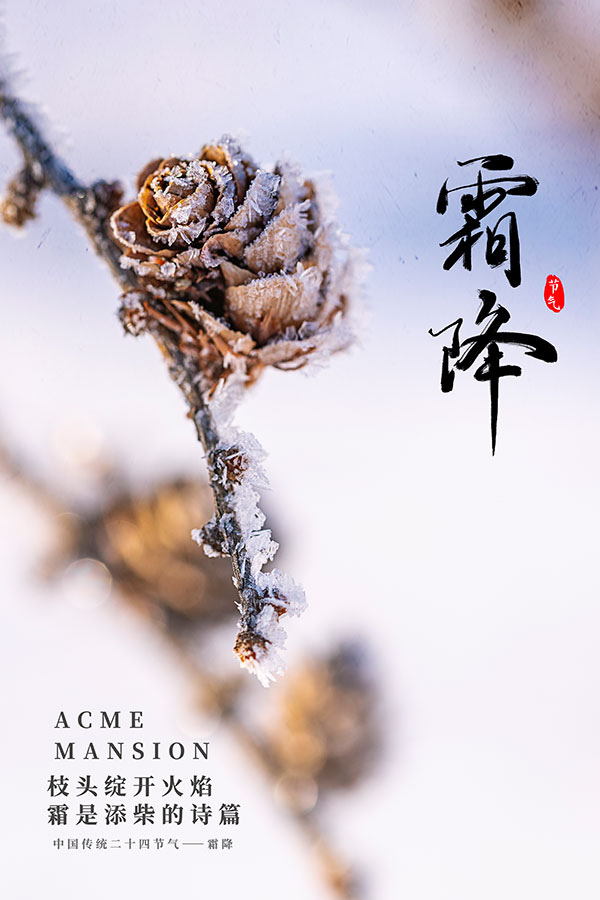 霜降丨秋意浓浓 寒意渐起